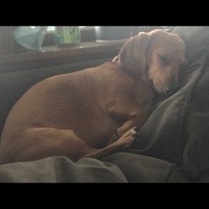 Meet your Posher, Katie